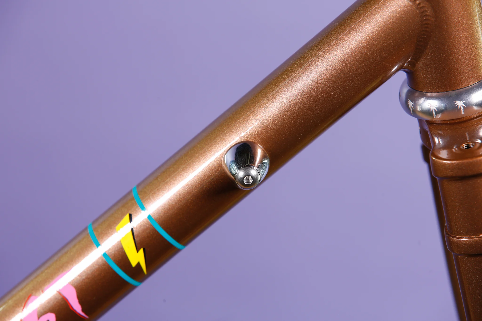 Blue Lug Down Tube Boss Cover - Image 4