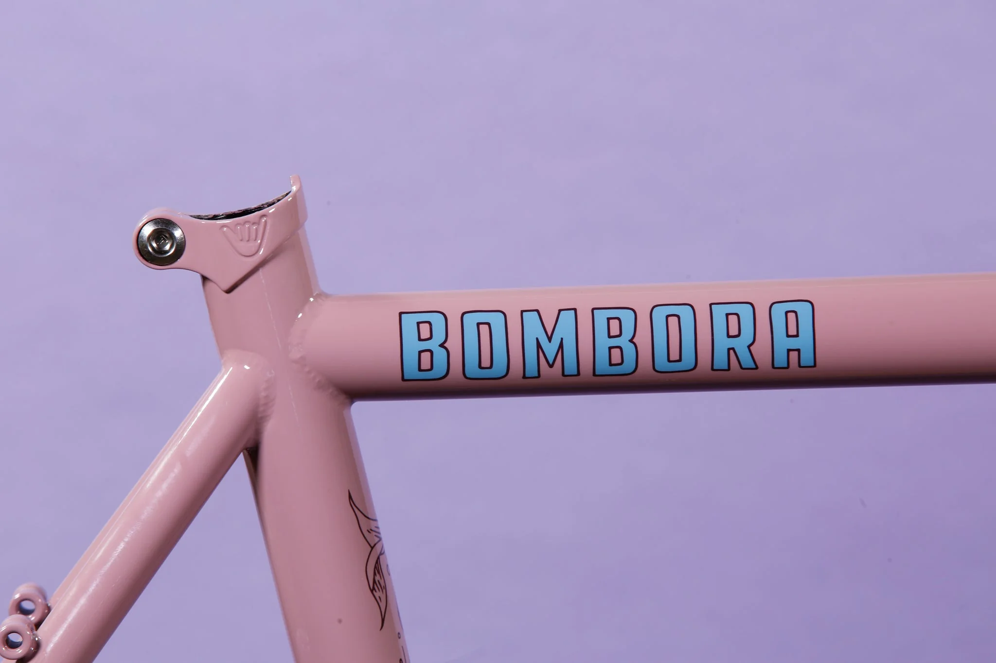 Celos Bombora - Image 20