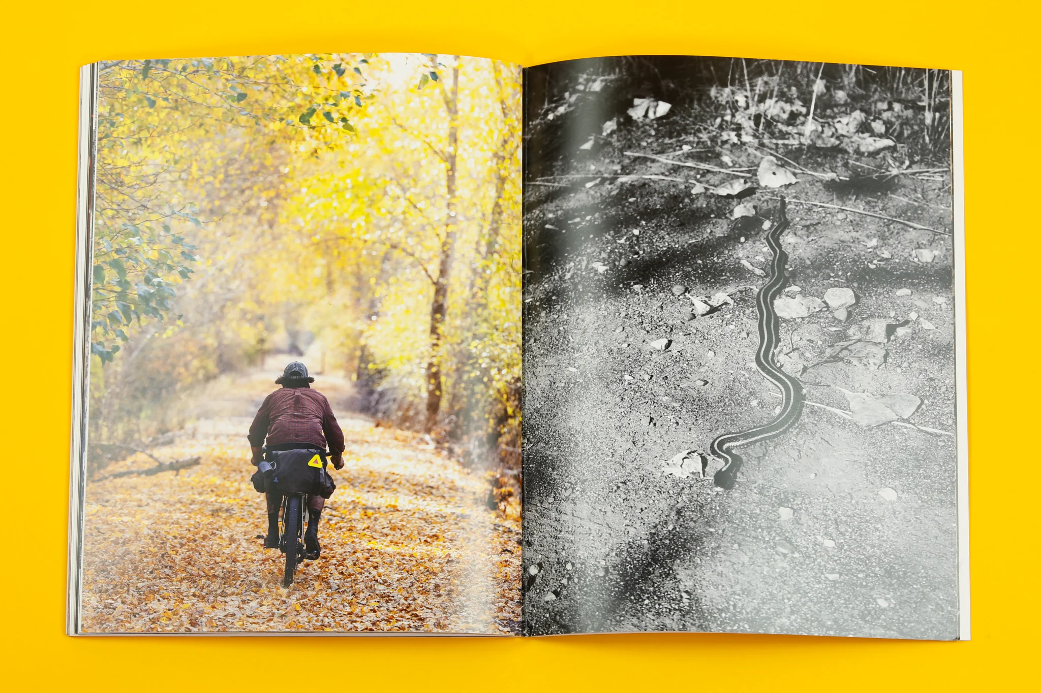 "Kickin' Mudpies in Spud Country" The Photobook - Image 4
