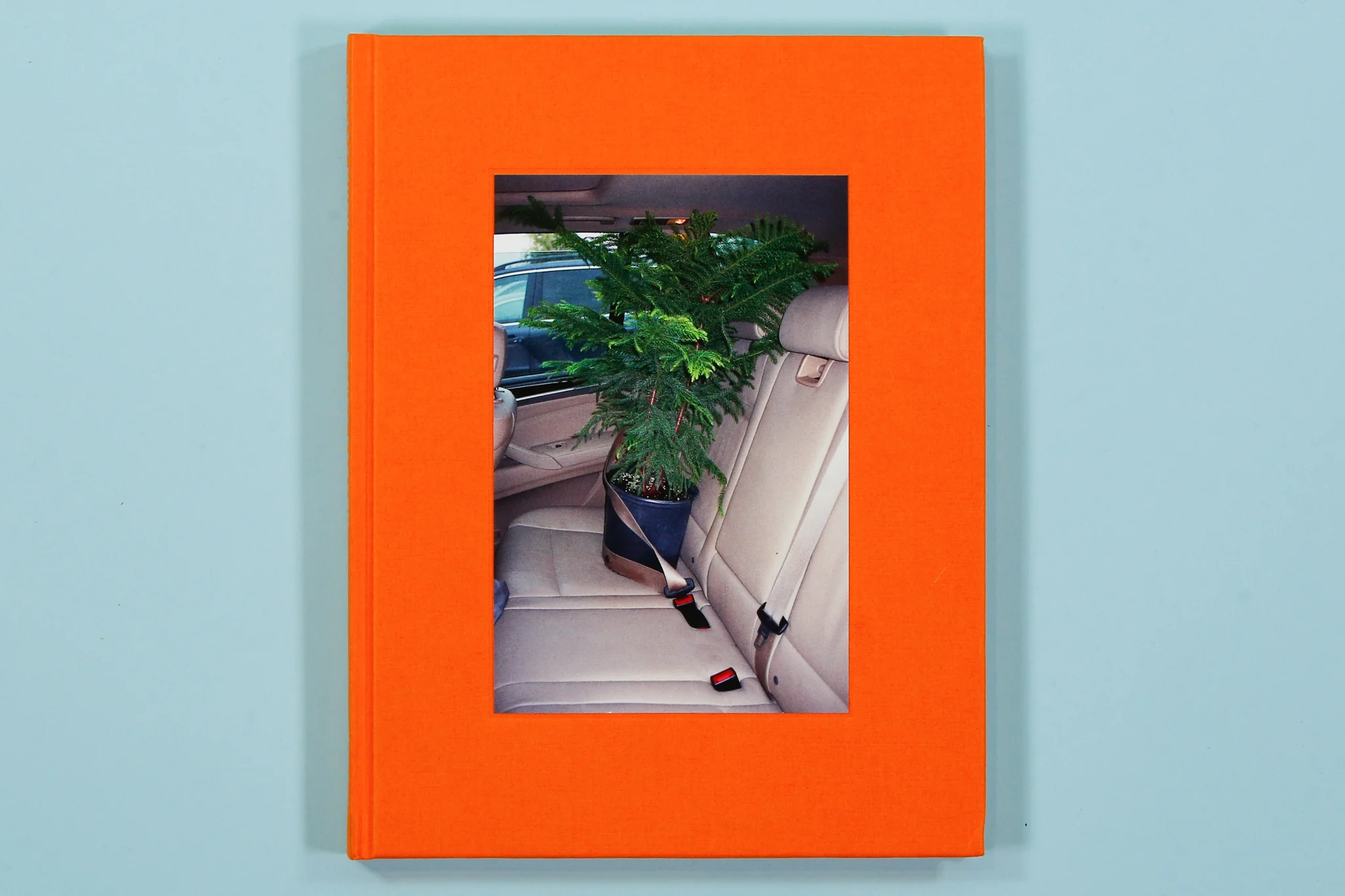 Sandy Carson Photography Books - Image 5