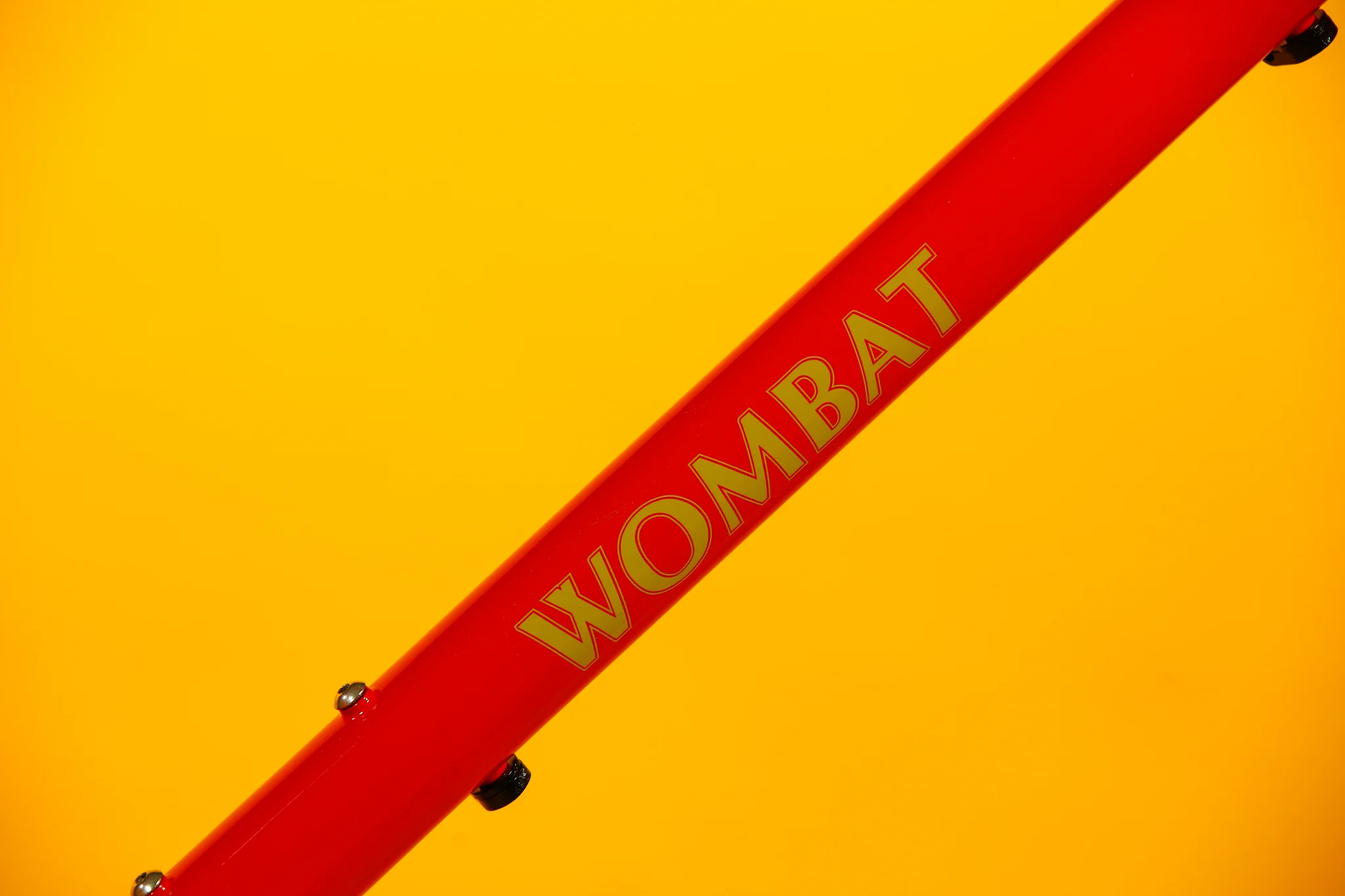 Wombat - Image 16
